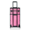 SHANY REBEL Series Trolley Makeup Case - Pink