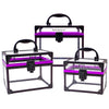 SHANY Clear Cosmetics and Toiletry Train Case - Clear Travel Makeup Bag Case Organizer with Secure Closure and Black/Purple Accents - 3PC Set - SHOP SET - MAKEUP TRAIN CASES - ITEM# SH-CC0080-SET